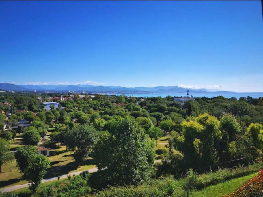 Superbe Appartement, Piscine, Vue Mer Et Montagnes Антиб Экстерьер фото